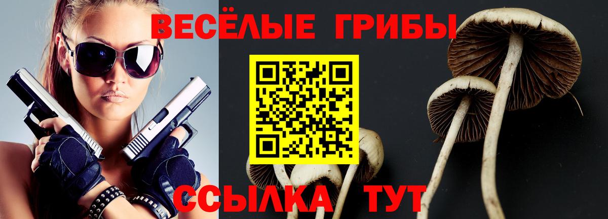 Галлюциногенные грибы Magic Shrooms  Вход с VPN  Ялта 